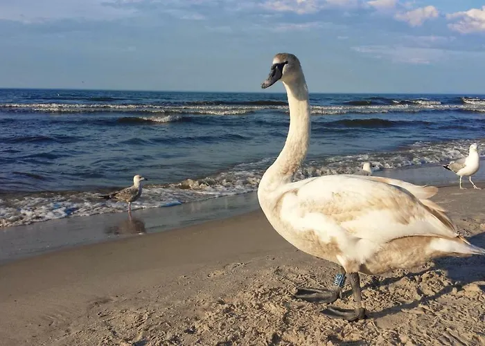 Maustyle Osiedle Polanki Kolobrzeg